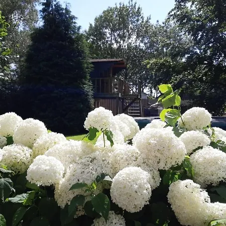 Campingplatz Treehouse Op Het Platteland Huize Ouwervelden Plantage Centrum