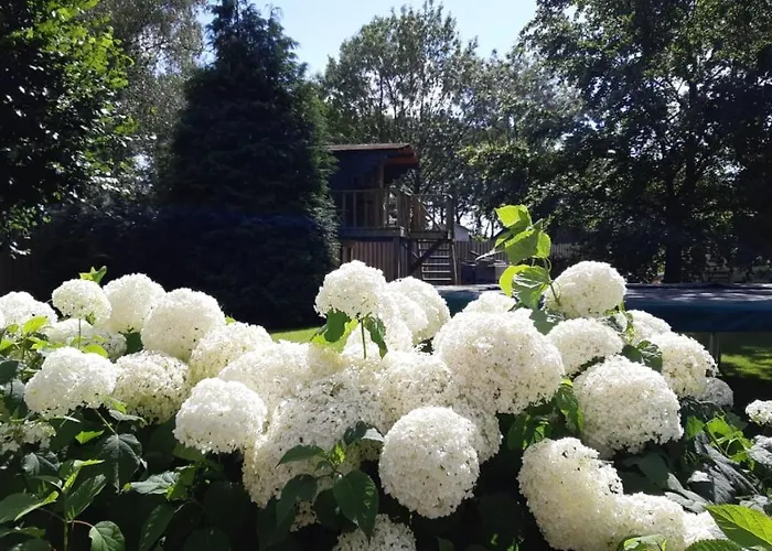Campingplatz Treehouse Op Het Platteland Huize Ouwervelden Plantage Centrum